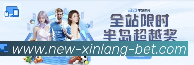 未来规划